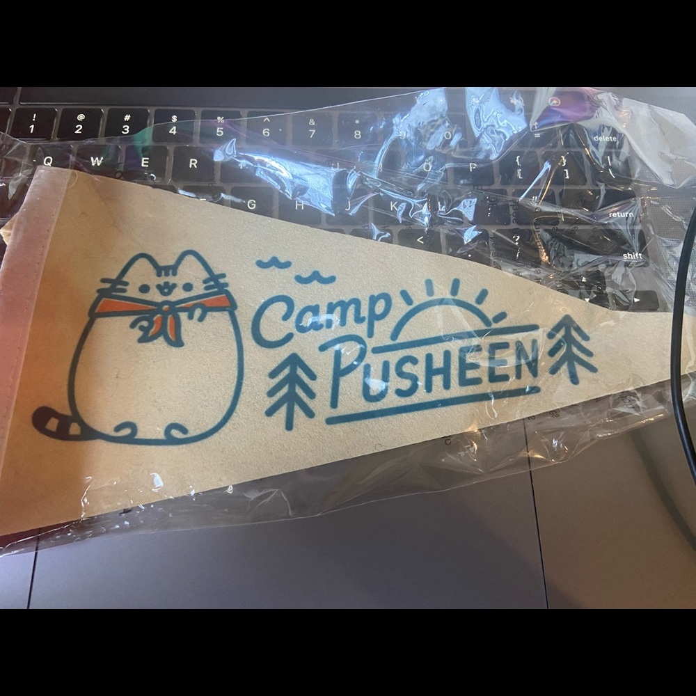 Camp pusheen pendent flag